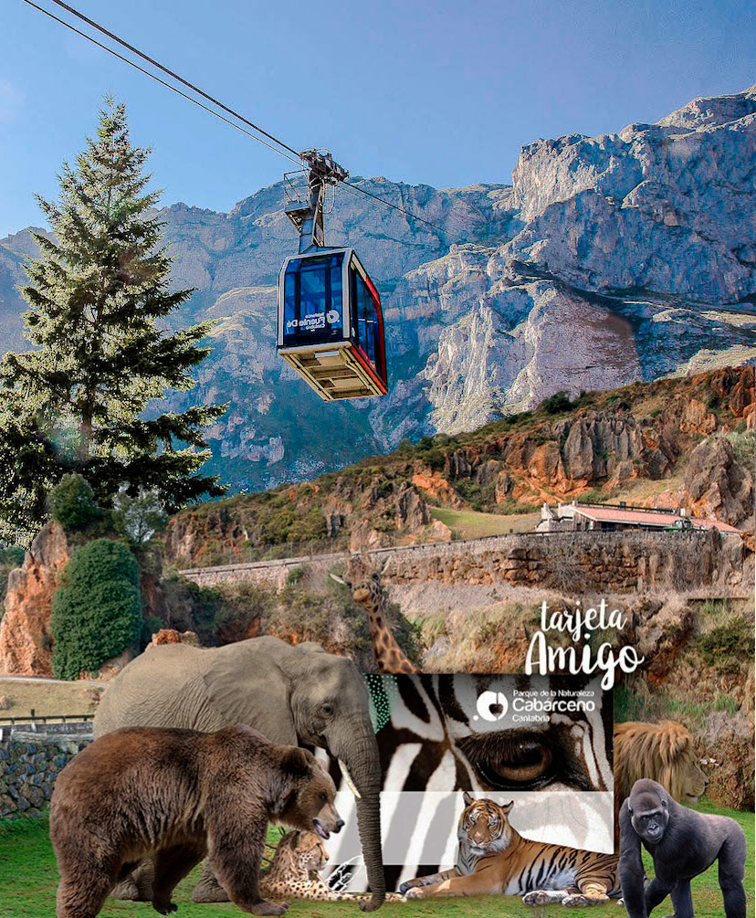 Record de visitantes en Cabarceno y mejora en FuenteDé con los sistemas de Webdreams